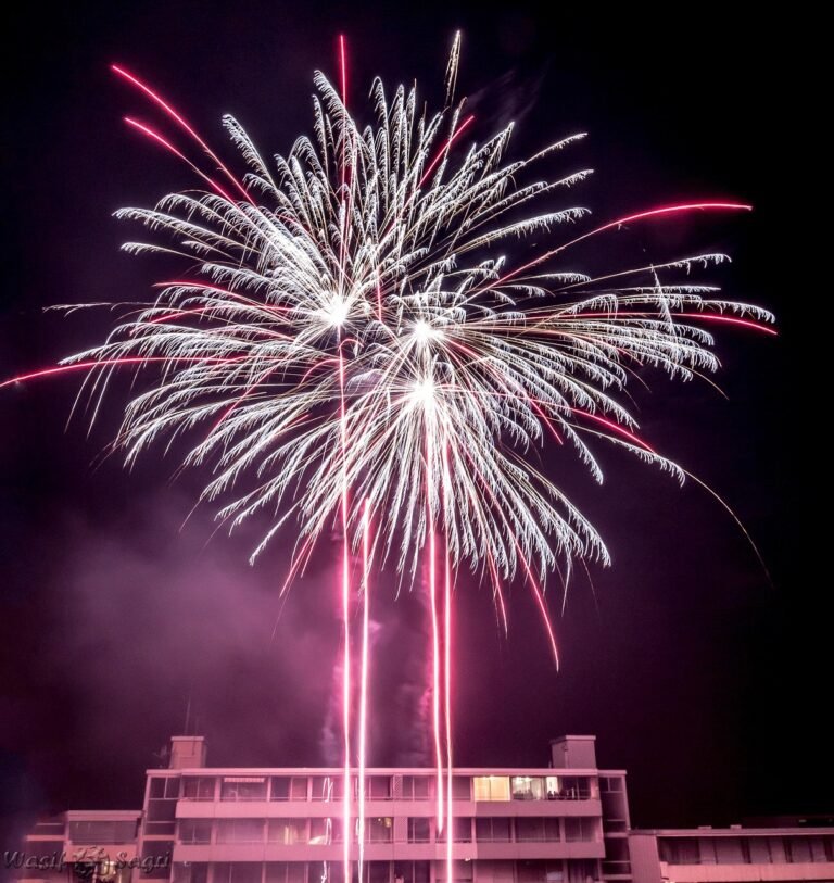 fireworks-684324_1280
